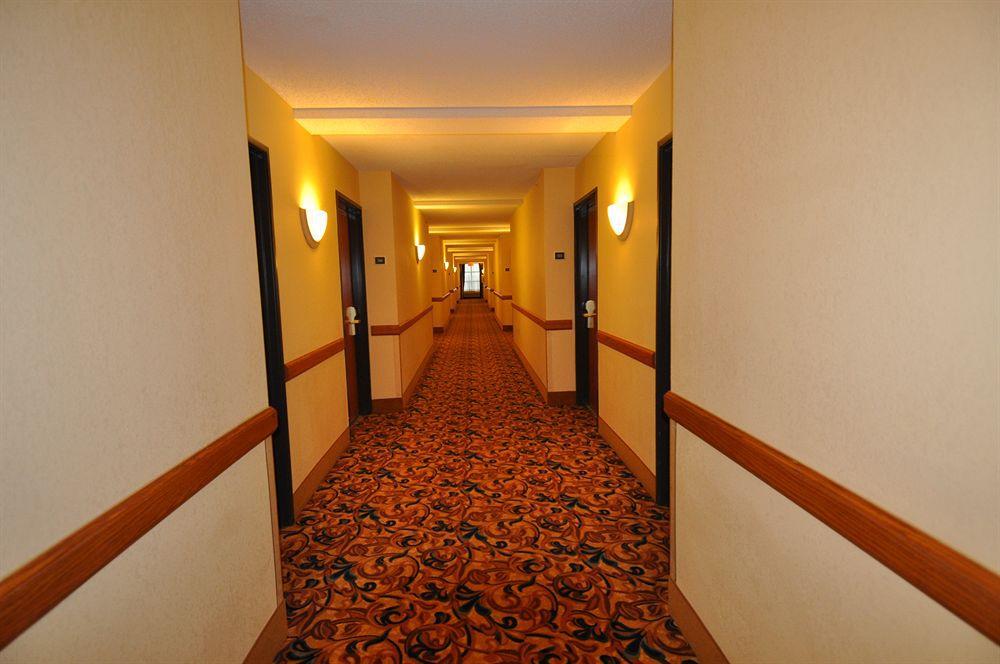 Comfort Inn & Suites New Orleans Airport North Kenner Beltér fotó